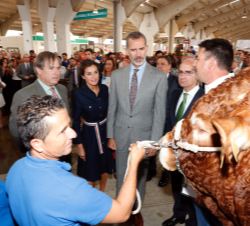 Don Felipe y Doña Letizia observan un ejemplar de ganado bovino en la zona ganadera